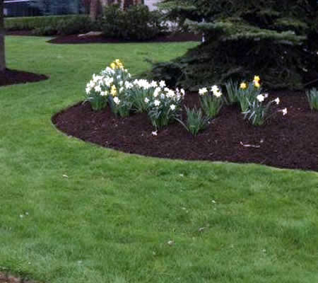 Landscaping Property Maintenance Services Chester Springs PA