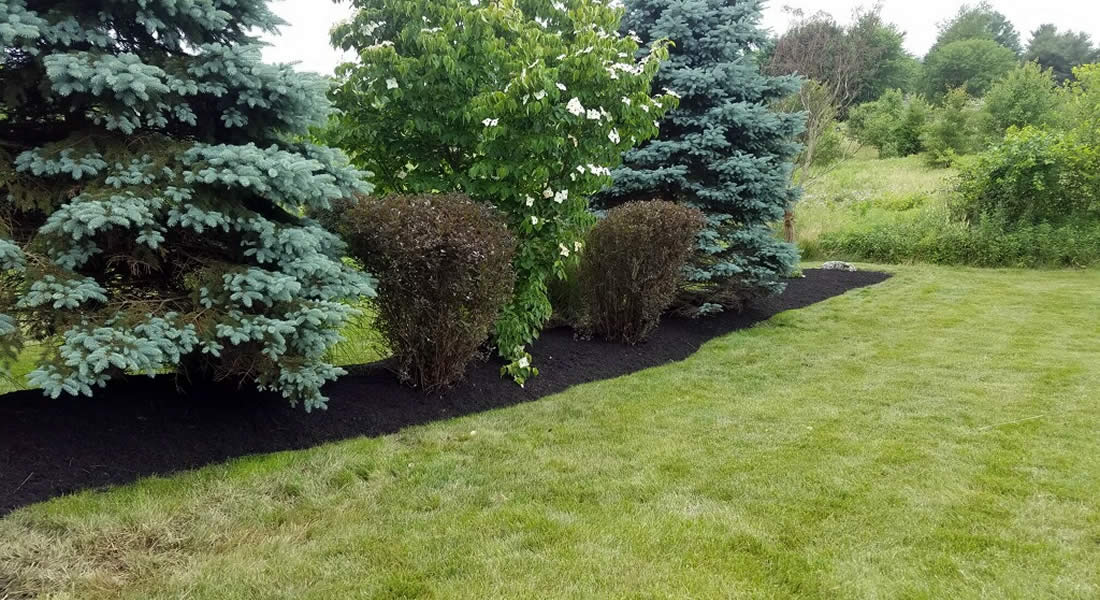 Lawn Care Mulch Service Eagleview