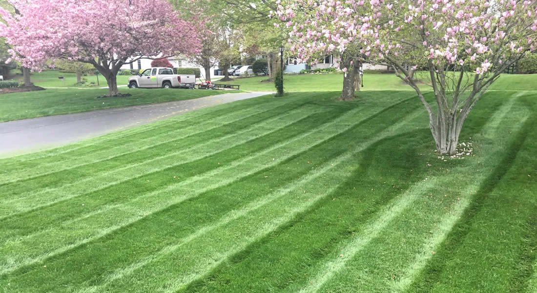 Lawn Mowing Chester Springs